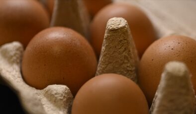 Rusya, Türkiye’den 316 bin 800 adet yumurta ithal etti