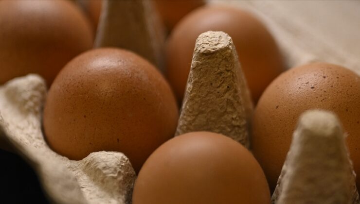 Rusya, Türkiye’den 316 bin 800 adet yumurta ithal etti