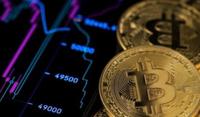 Bitcoin sahiplik oranları açıklandı