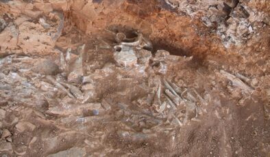 240 milyon yıllık “ejderhanın” bütün haldeki fosili bulundu