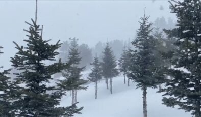 Bolu’nun yüksek kesimlerine kar yağdı