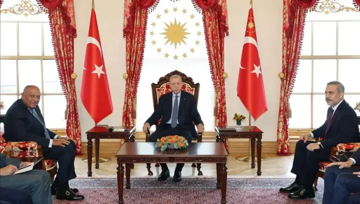 Cumhurbaşkanı Erdoğan, Mısır Dışişleri Bakanı’nı kabul etti