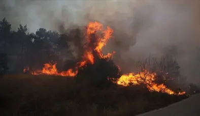 Yunanistan’da 31 Mart’ta başlayan orman yangını sürüyor