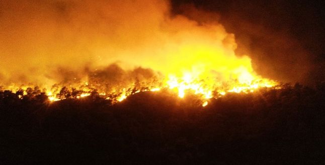 Antalya Kemer’de orman yangını!