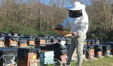 Arıcılardan üreticilere “kovan başına üretimi artırma” çağrısı