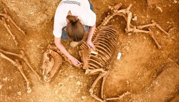 İki bin yıllık at fosilleri içeren mezarlar bulundu