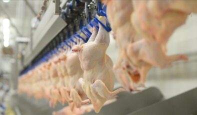 Beyaz et sektöründeki 4 firmaya 1,2 milyar lira rekabet cezası