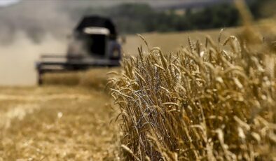 Tahıl diplomasisi’ küresel pazarı yeniden şekillendiriyor