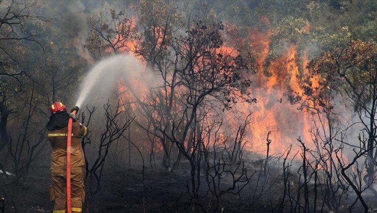 AB orman yangınlarının önüne geçmeye hazırlanıyor