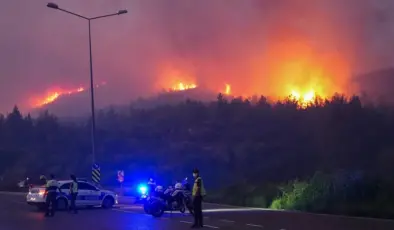 İzmir, Çanakkale ve Aydın’daki yangınlarda son durum