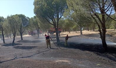 İzmir’in Karaburun ilçesinde orman yangını çıktı