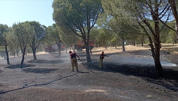 İzmir’in Karaburun ilçesinde orman yangını çıktı