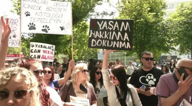 Hayvanların ‘uyutulması’ tasarısına Ankara’da protesto
