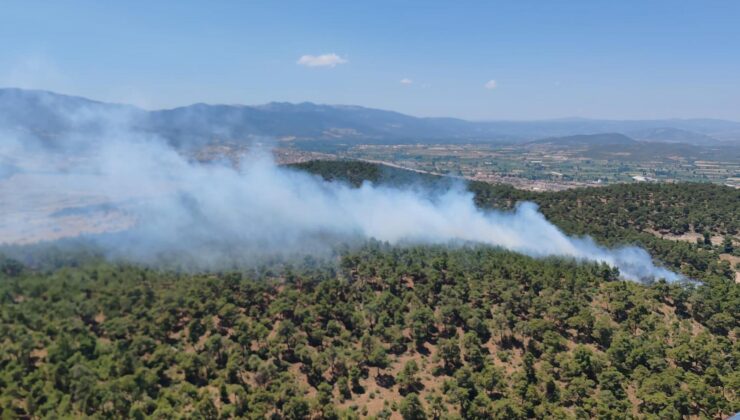Manisa’nın Soma ilçesinde çıkan orman yangınına müdahale ediliyor