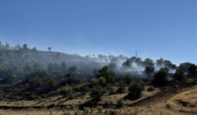 Elazığ’da çıkan yangında 45 dönüm ormanlık ve ekili alan zarar gördü