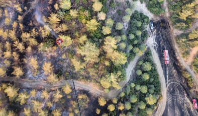 Adana’da ormanlık alanda çıkan yangın kontrol altına alındı