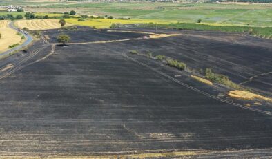 Edirne’de 100 dekarlık buğday ekili alan yandı