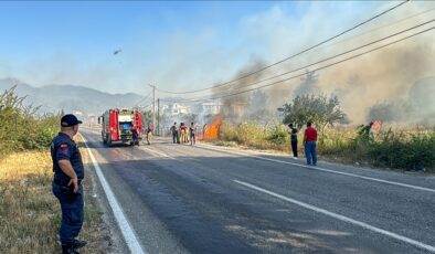 İzmir’de zirai alanda çıkan yangın kontrol altına alındı