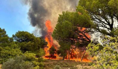 Yunanistan’da orman yangını: Köyler boşaltılıyor