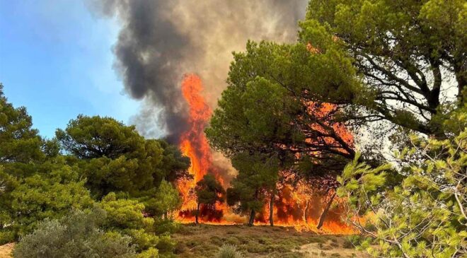 Yunanistan’da orman yangını: Köyler boşaltılıyor