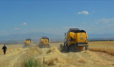 Malatya’da yılın ilk buğday hasadı yapıldı