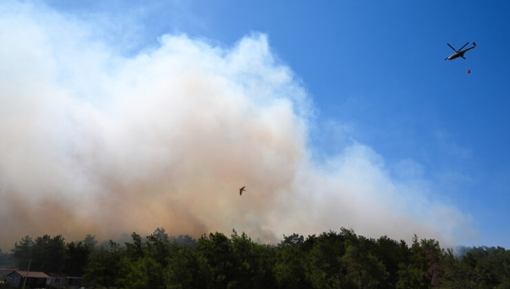 İzmir Menderes’te orman yangını