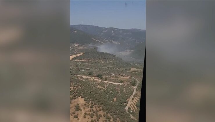 İzmir’in Torbalı ilçesinde çıkan orman yangınına müdahale ediliyor