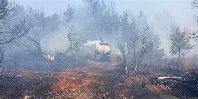 Antalya’nın Manavgat ilçesinde ormanlık alanda yangın çıktı