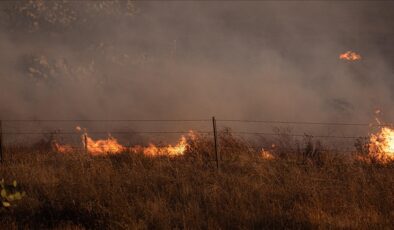 Los Angeles’ta çıkan orman yangınında 1200 kişi tahliye edildi