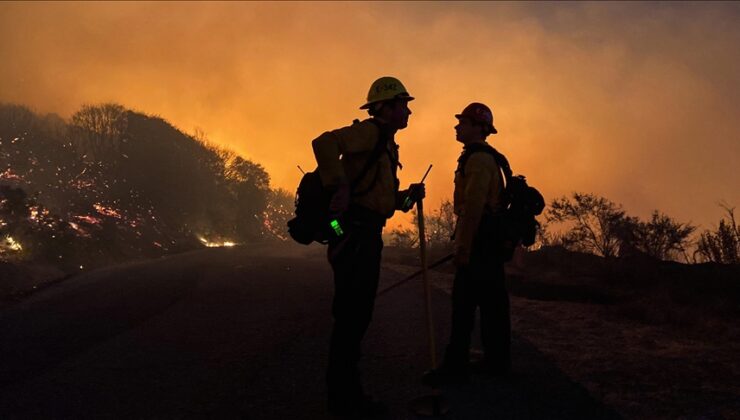 Kaliforniya’da orman yangınları: 52 binden fazla kişi hayatını kaybetti