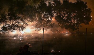 ABD’de orman yangınları: Umutlar beklenen yağmurda