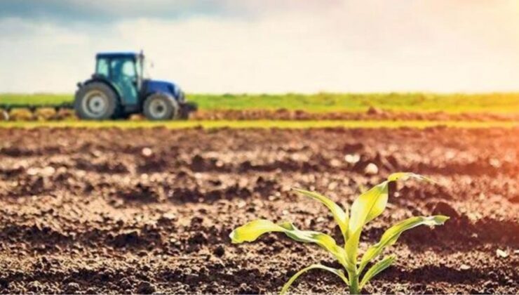 TZOB uyardı: Türkiye’nin tarım arazi miktarı geriliyor