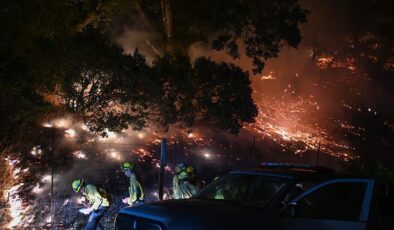 ABD’nin New Mexico eyaletinde orman yangını