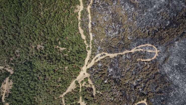 İzmir Bornova’da yanan orman alanı havadan görüntülendi