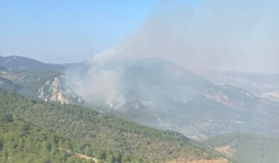 Bergama’daki orman yangını iki gündür sürüyor