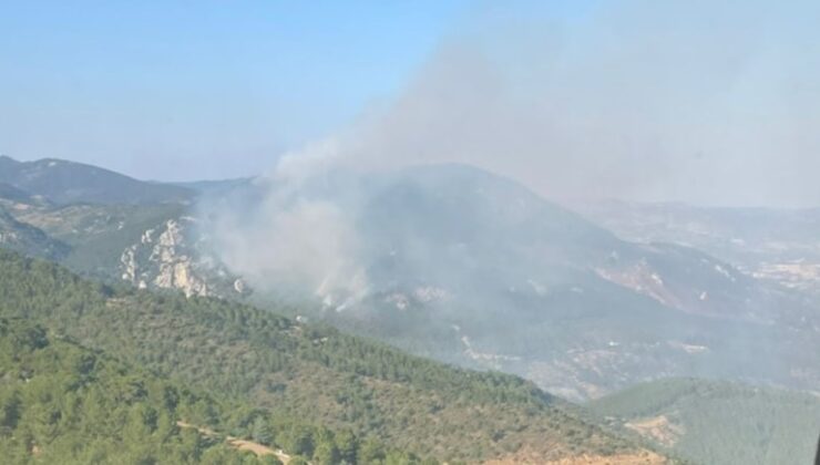 Bergama’daki orman yangını iki gündür sürüyor