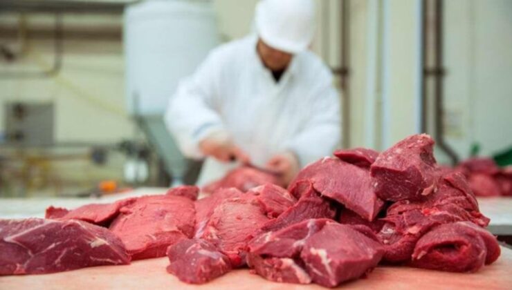 Kuzu eti tanıtımına 193 milyon TL harcayacaklar