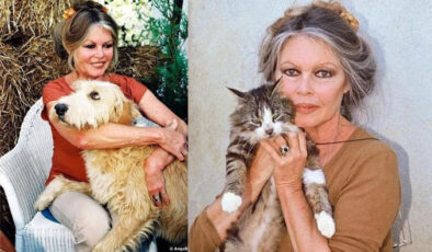 Brigitte Bardot’dan Cumhurbaşkanı Erdoğan’a sokak hayvanları çağrısı