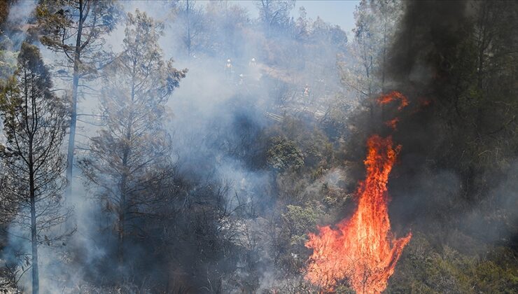 California’da orman yangınları nedeniyle tahliye çalışmaları başladı