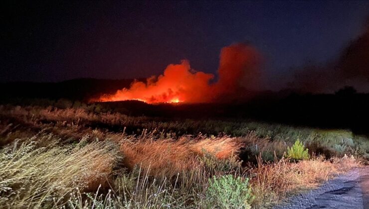Çanakkale’nin Ayvacık ilçesinde orman yangını