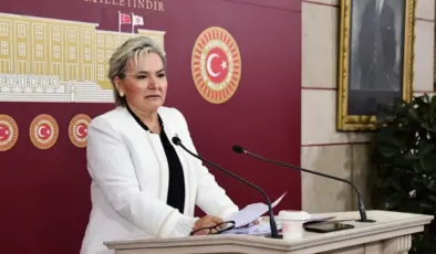 İstanbul Milletvekili Nimet Özdemir, İYİ Parti’den istifa etti
