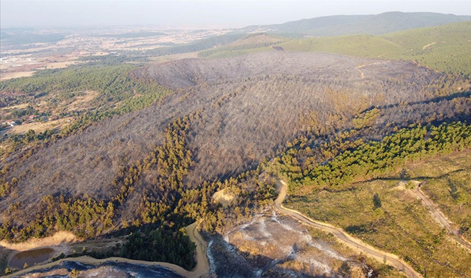 Uşak’taki orman yangınları kontrol altına alındı