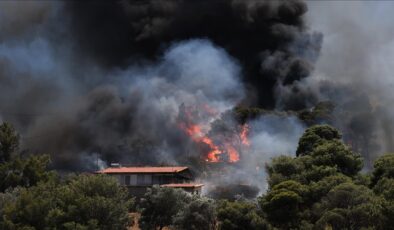 Yunanistan’da 52 orman yangınından 44’ü kontrol altına alındı