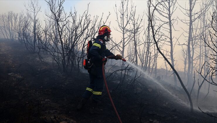 Yunanistan’da 45 orman yangınından 31’i kontrol altına alındı