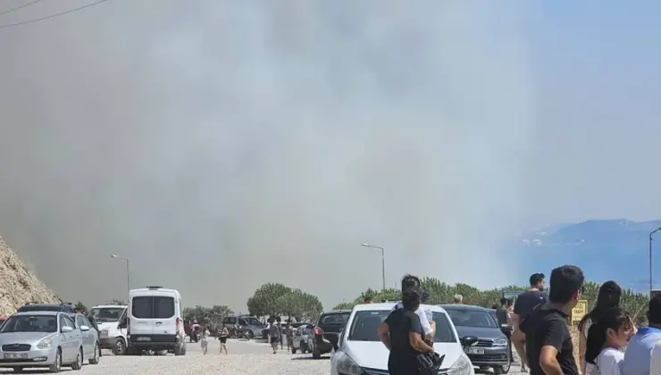 İzmir Dikili’de orman yangını