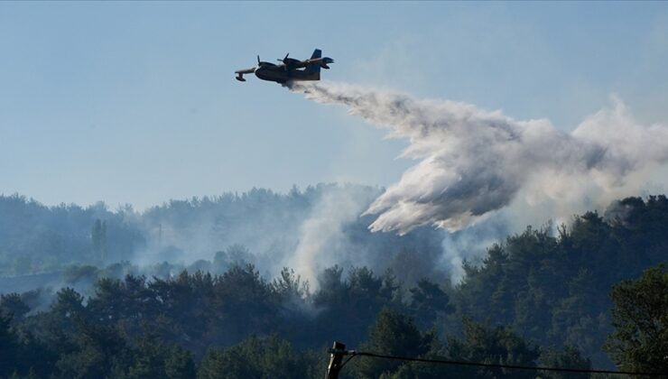 İzmir’in Bornova ilçesinde çıkan orman yangını kontrol altına alındı