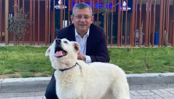 CHP lideri Özgür Özel’den ‘sahipsiz köpek’ teklifine ‘Mira’lı eleştiri