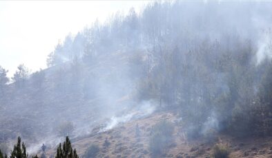 Kastamonu’daki orman yangınında yaklaşık 8 hektar alan zarar gördü