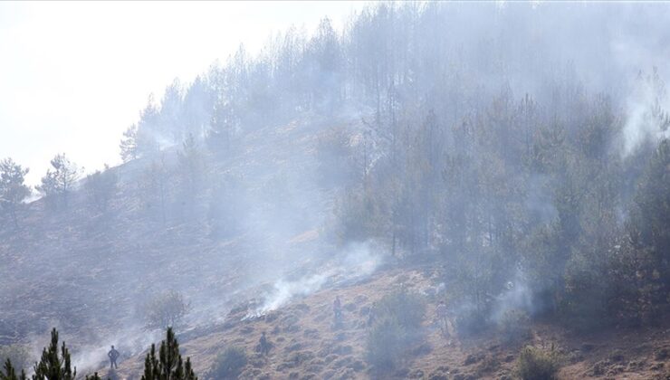 Kastamonu’daki orman yangınında yaklaşık 8 hektar alan zarar gördü
