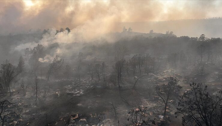 ABD’nin California eyaletinde 350 bin dönümden fazla alan yandı